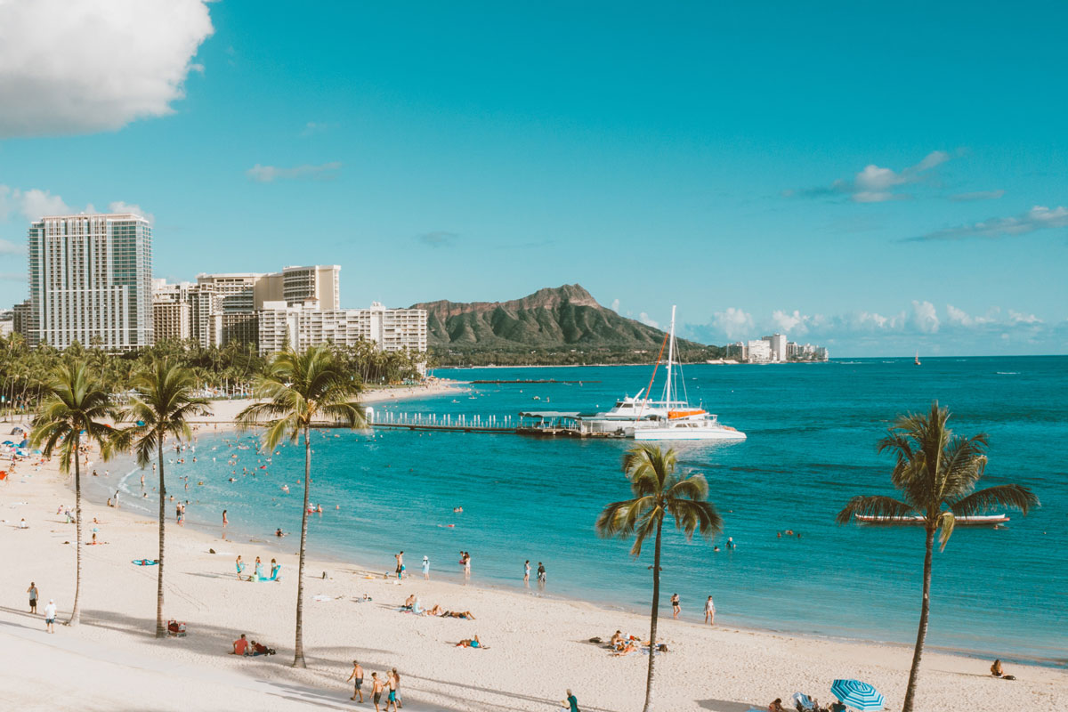 アセットハワイについて